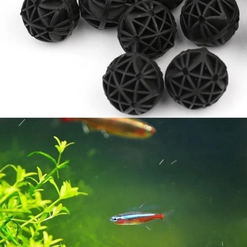50 Buah Bola Filter Bio Akuari - Marine Aquarium & Regional Centre Reviews ulasan dan harga