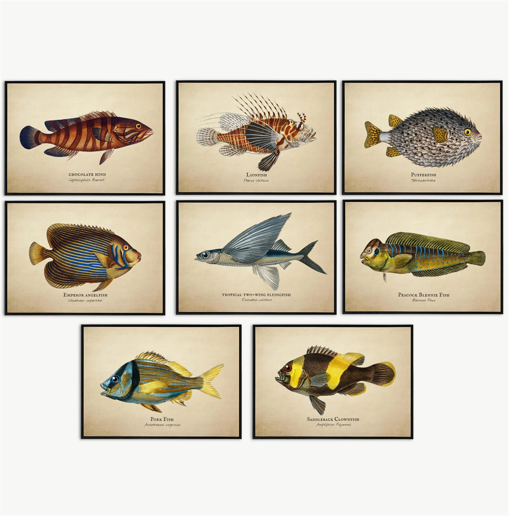 Gambar Vintage Ikan Tropis Ubu - Marine Aquarium Home ulasan dan harga