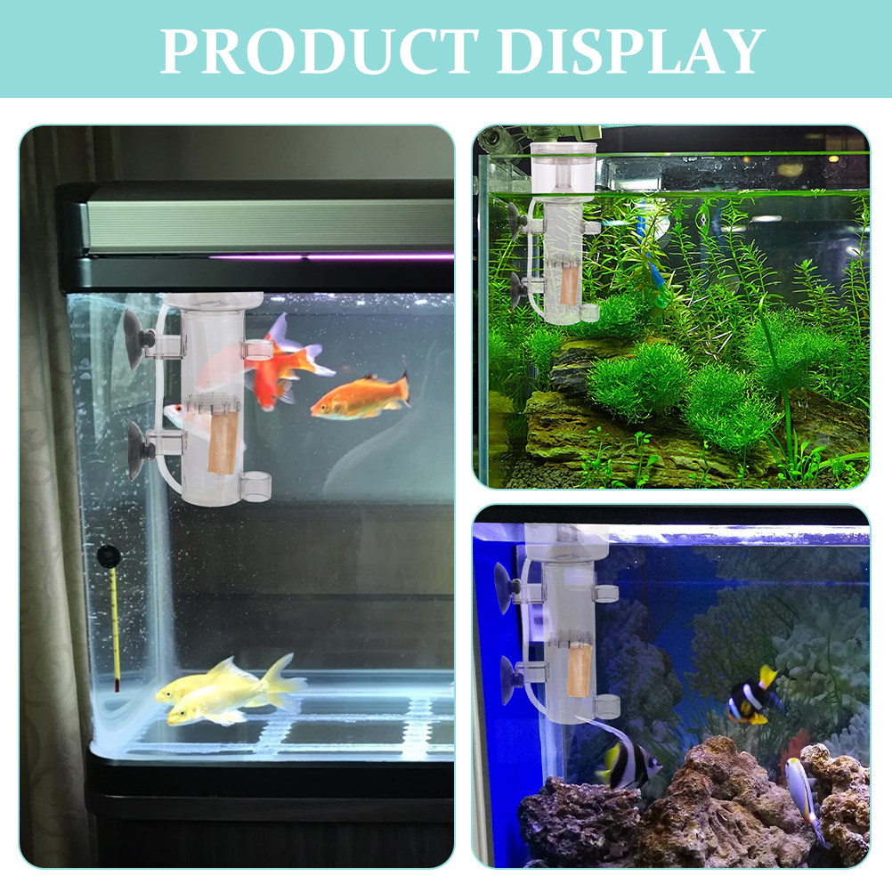 Protein Skimmer Akrilik Pemisa - Marine Aquarium & Regional Centre Reviews ulasan dan harga