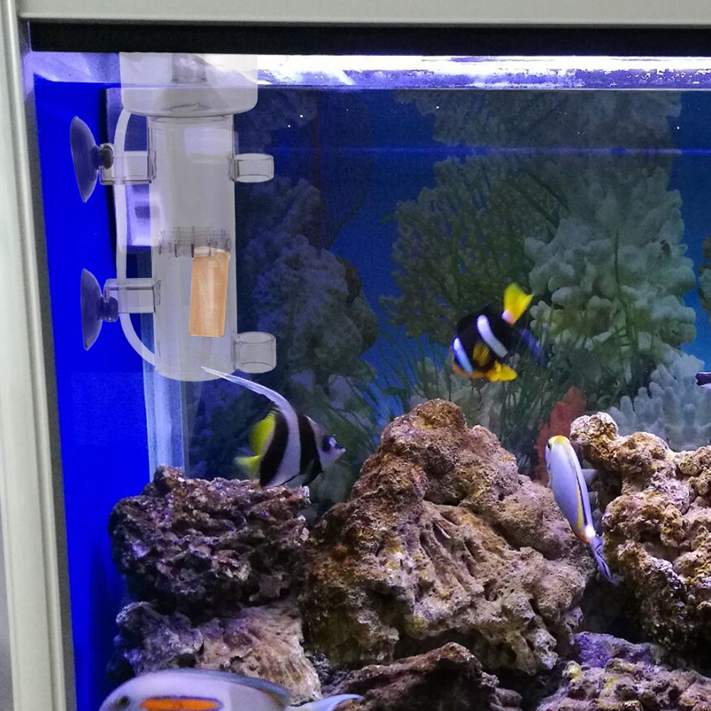 Protein Skimmer Akrilik Pemisa - Marine Aquarium & Regional Centre Reviews ulasan dan harga