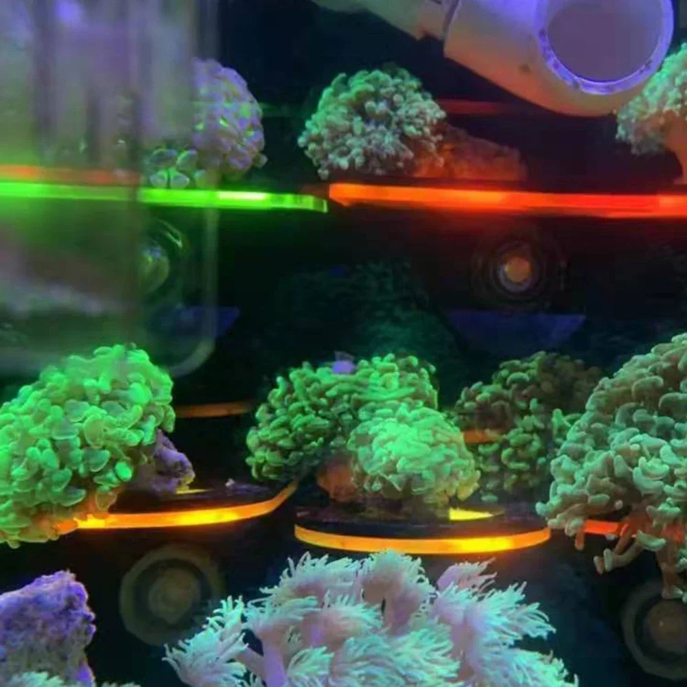 Penyangga Karang Fluoresen Akr - Aquarium Marine Fishes ulasan dan harga