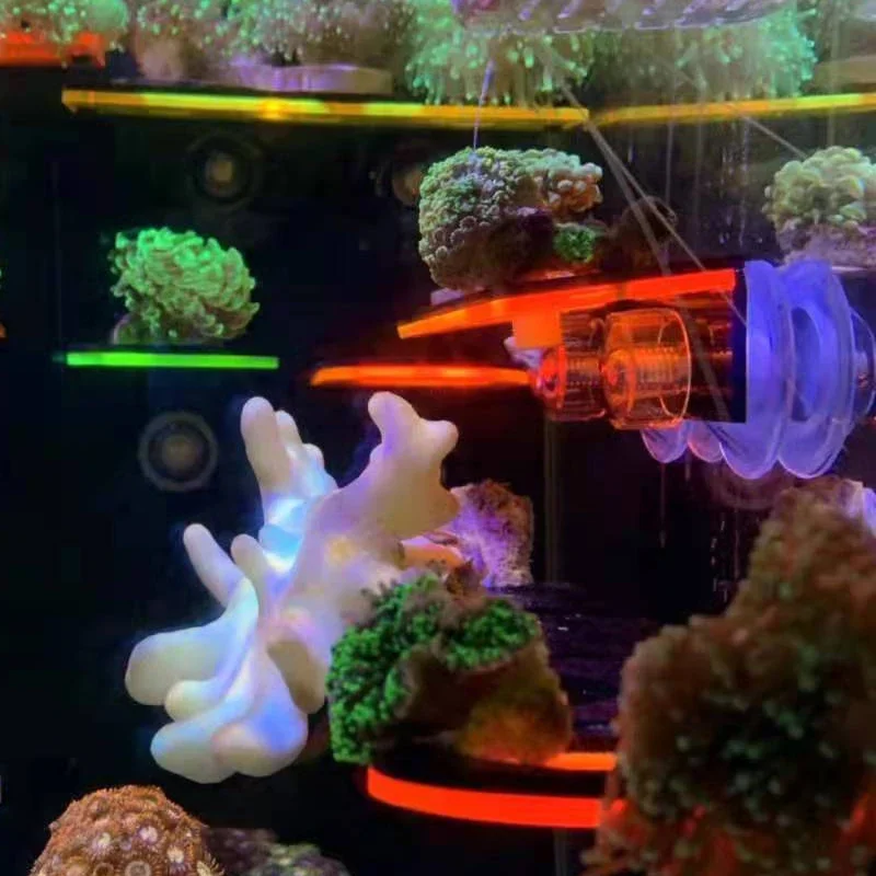 Penyangga Karang Fluoresen Akr - Aquarium Marine Fishes ulasan dan harga