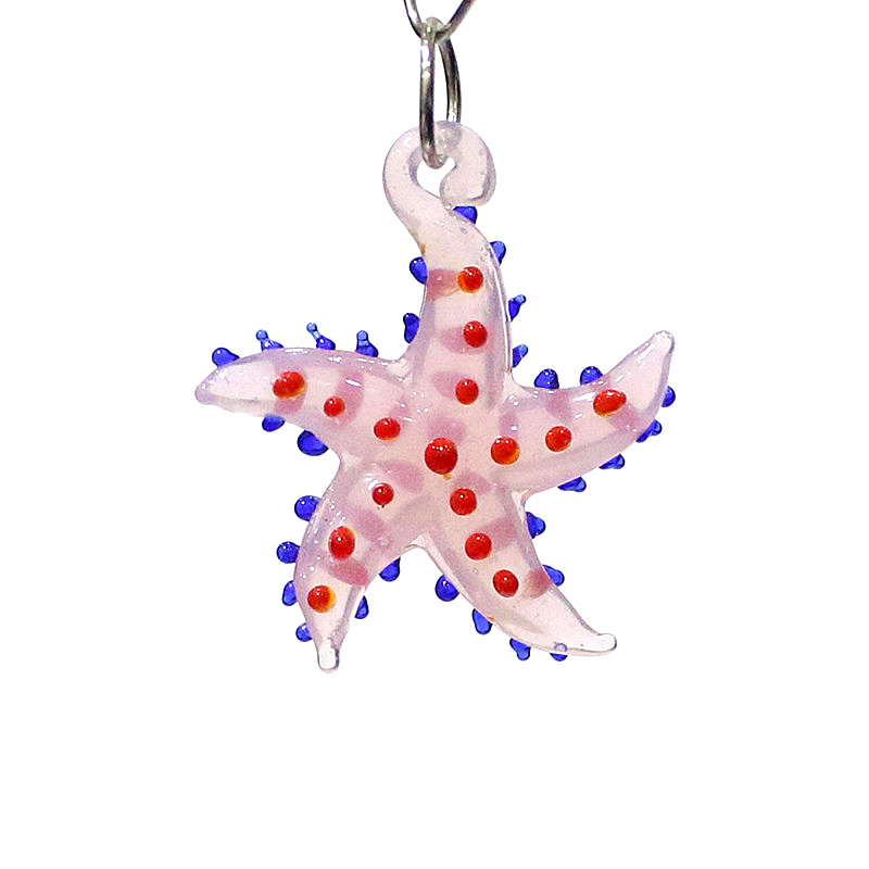 Lucu hewan laut bintang laut p - Marine Aquarium Mini ulasan dan harga